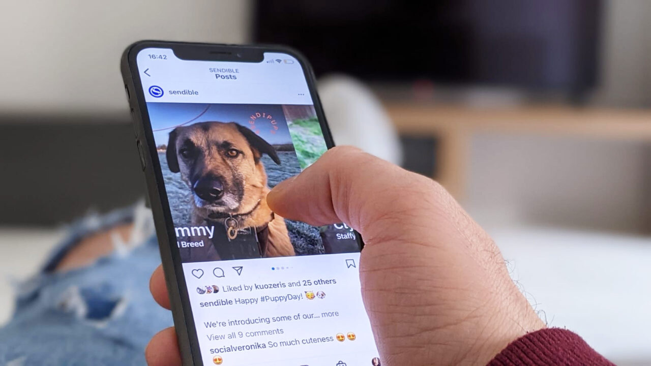 EdenBoost: Professionelles Social Media Wachstum für alle Plattformen