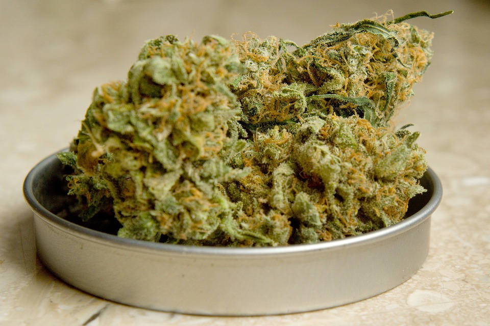 Cannabissorten und ihre Marihuanasamen: Ein Überblick