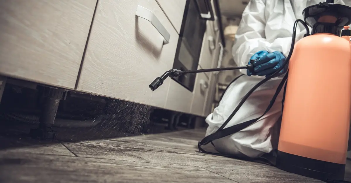 Kammerjäger in der Nähe – Ihr zuverlässiger Partner für Schädlingsbekämpfung